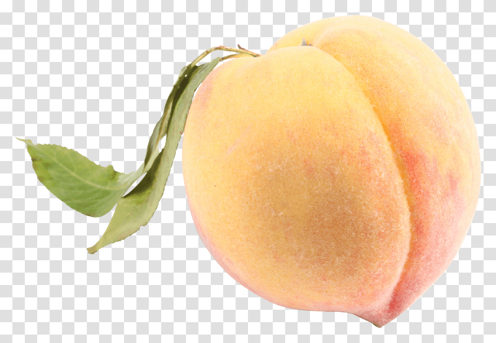 Peach File White Peach Background Transparent Png