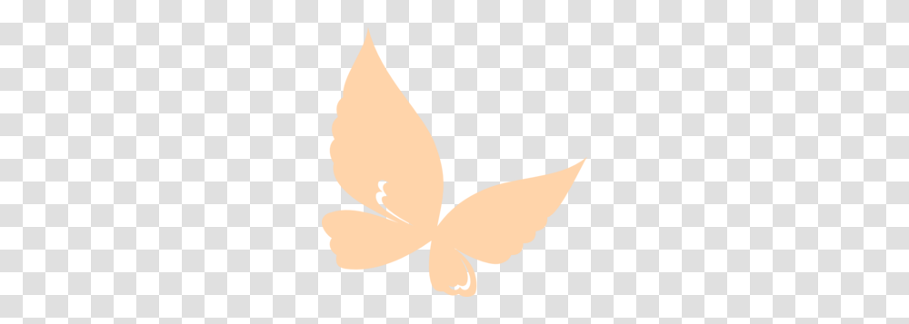 Peach Flower Clipart Butterfly, Plant, Blossom Transparent Png