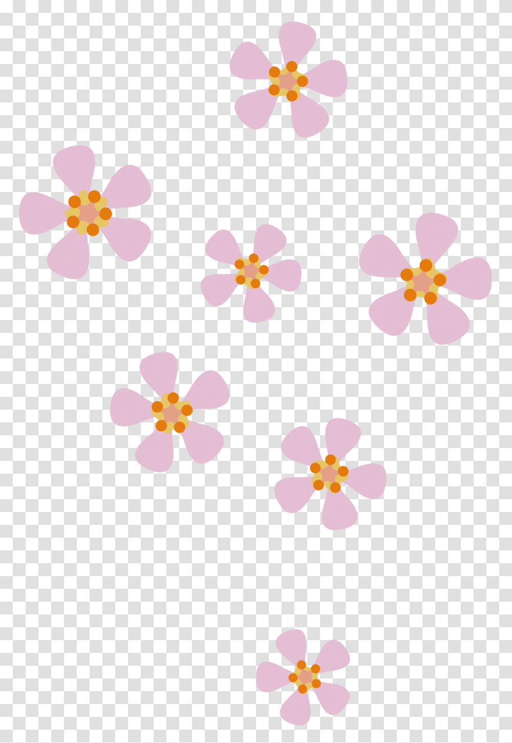 Peach Flower Clipart, Plant, Blossom, Petal, Floral Design Transparent Png