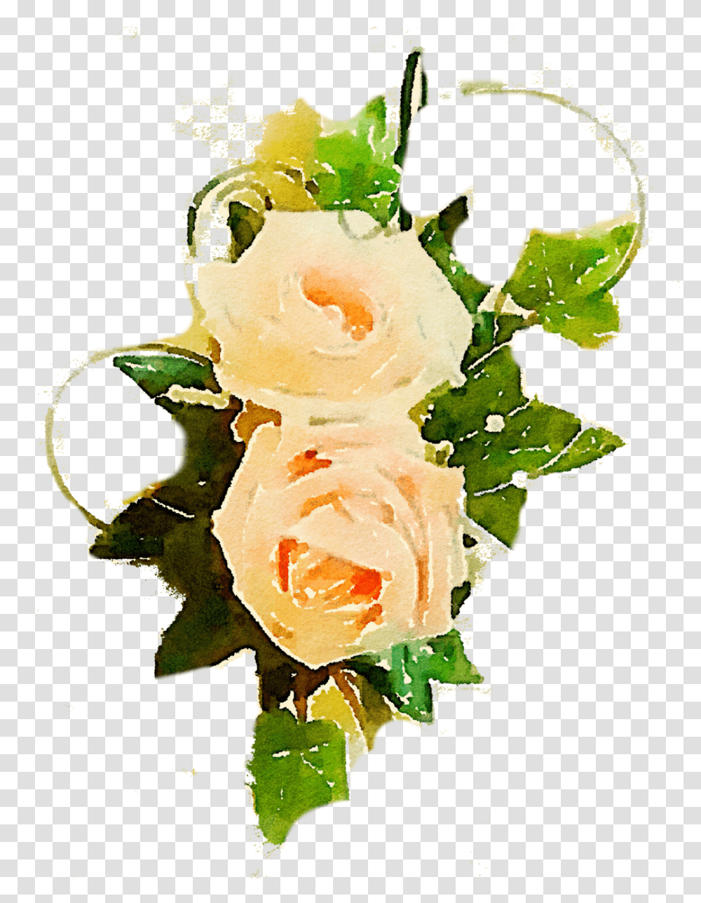 Peach Flower Clipart Real Flowers Clipart Real, Rose, Plant, Blossom, Flower Arrangement Transparent Png