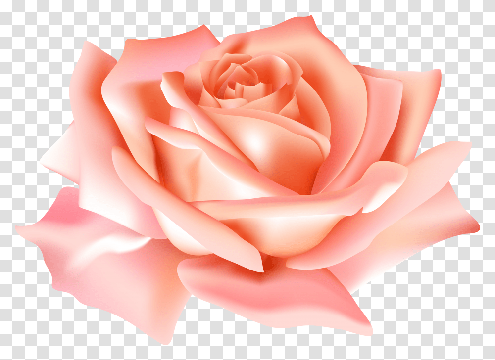 Peach Flowers Free Blue Rose Transparent Png