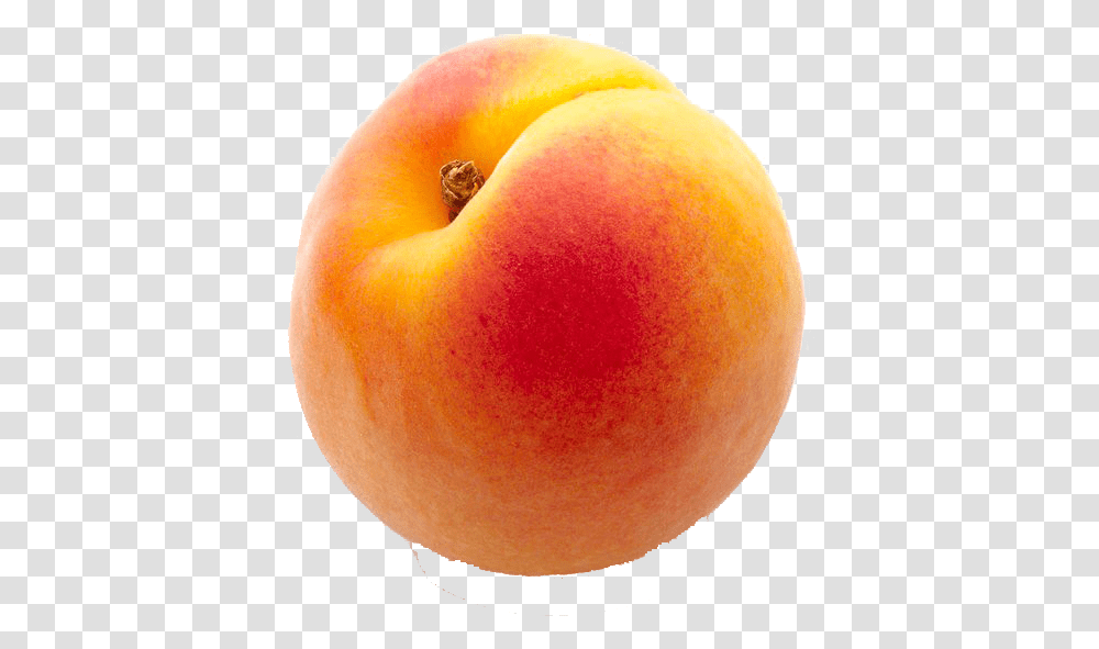 Peach Free Download Nectarines, Apple, Fruit, Plant, Food Transparent Png