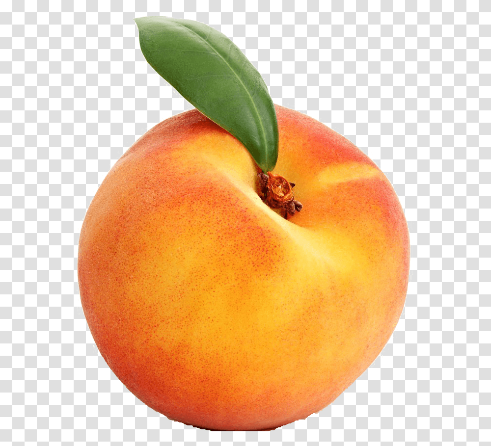 Peach Free Image Download Animated Fruit On Loop, Plant, Food, Produce, Apricot Transparent Png