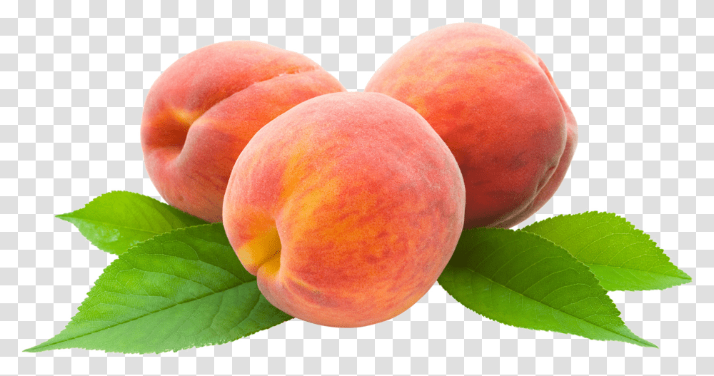 Peach Free Images Nectarines, Plant, Fruit, Food, Produce Transparent Png