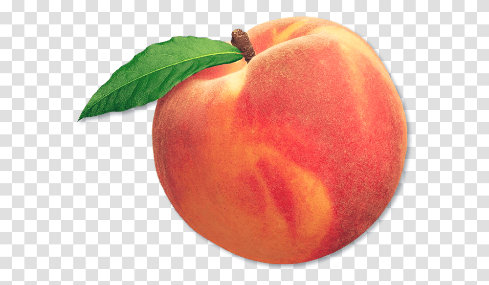 Peach Fruit Aesthetic Freetoedit Fruit Peach, Plant, Food, Apple, Produce Transparent Png