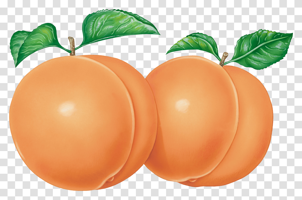 Peach, Fruit, Balloon, Plant, Food Transparent Png