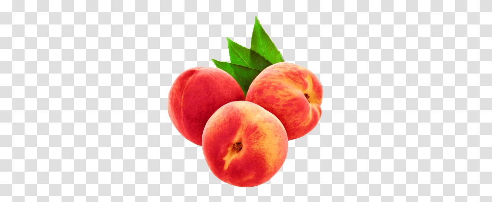 Peach Fruit Peaches Tumblr Freetoedit Freetoedit Aesthetic Tumblr, Plant, Apple Transparent Png