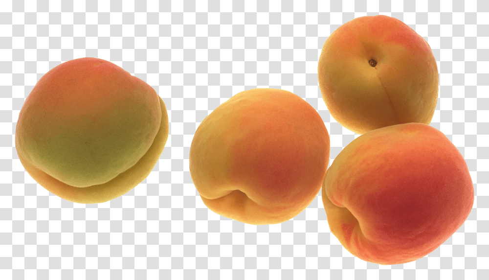 Peach, Fruit, Plant, Food, Apricot Transparent Png