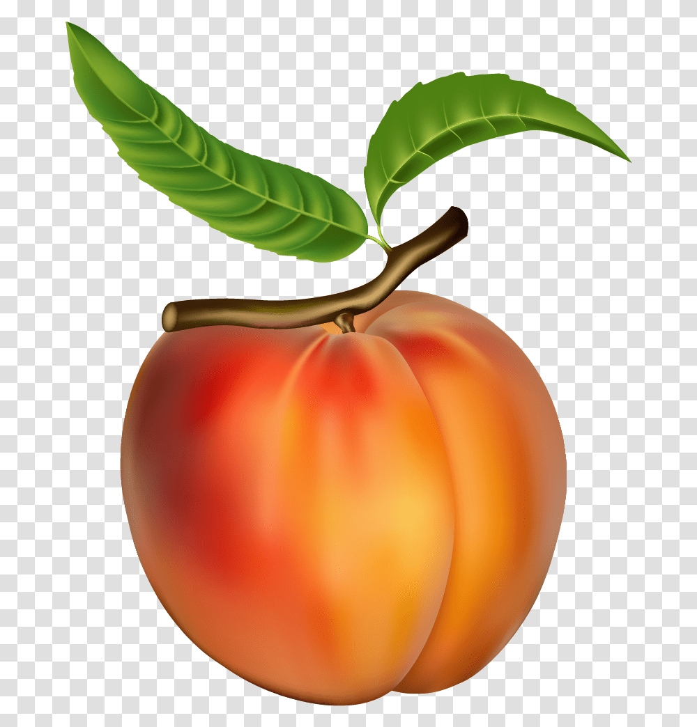 Peach Fruit, Plant, Food, Produce, Apricot Transparent Png