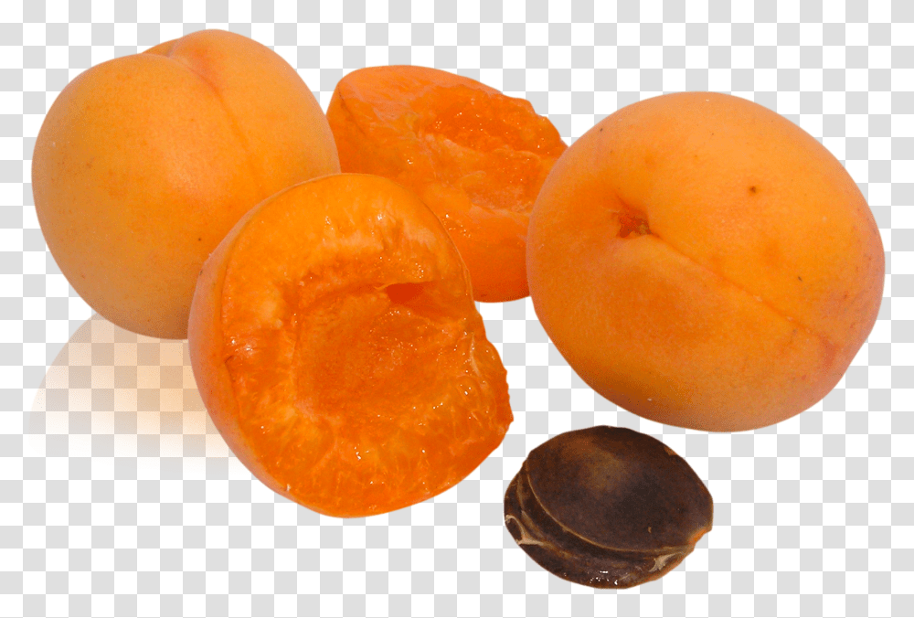 Peach, Fruit, Plant, Orange, Citrus Fruit Transparent Png