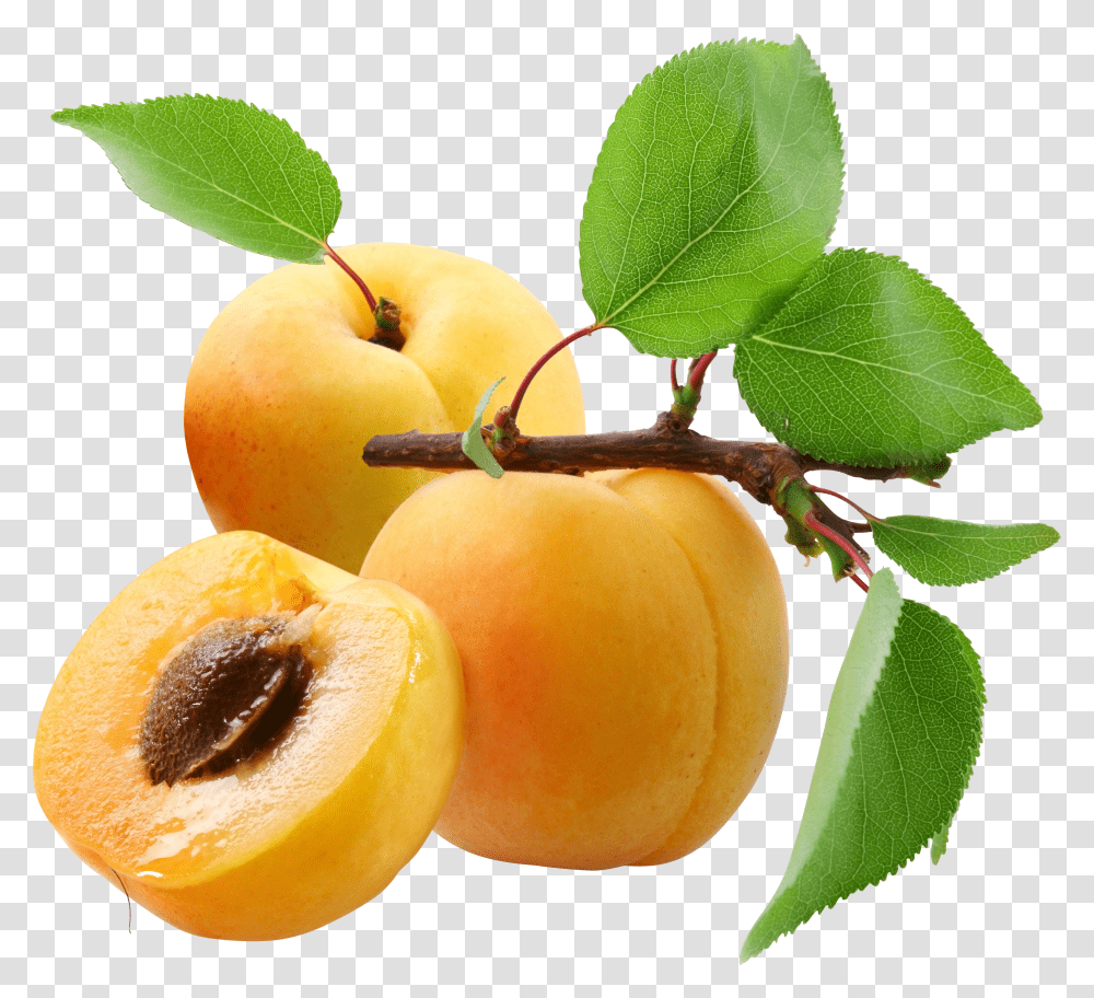 Peach, Fruit Transparent Png