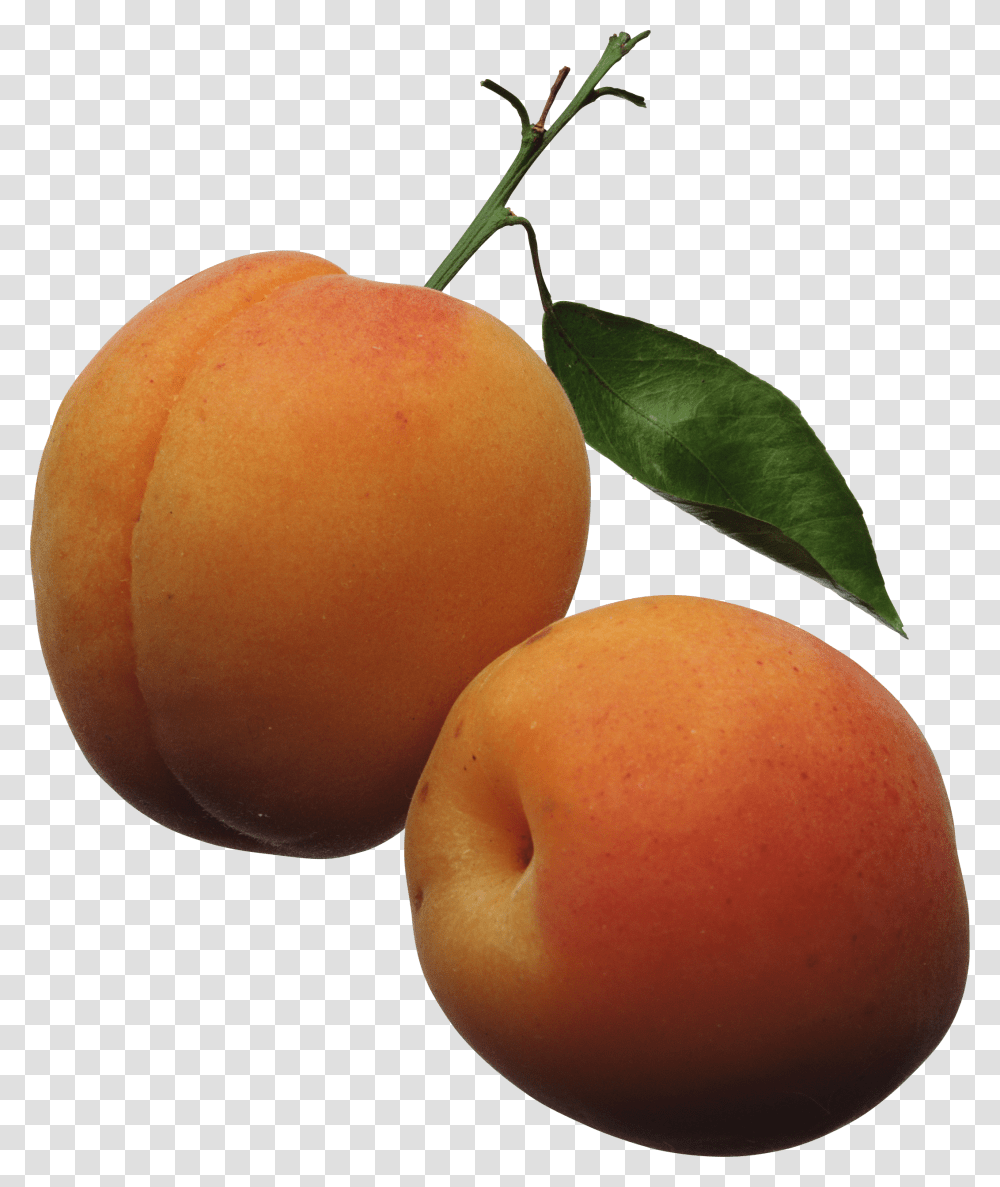 Peach, Fruit Transparent Png