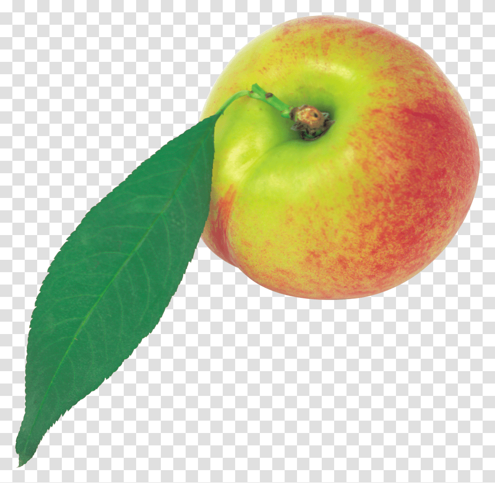 Peach, Fruit Transparent Png