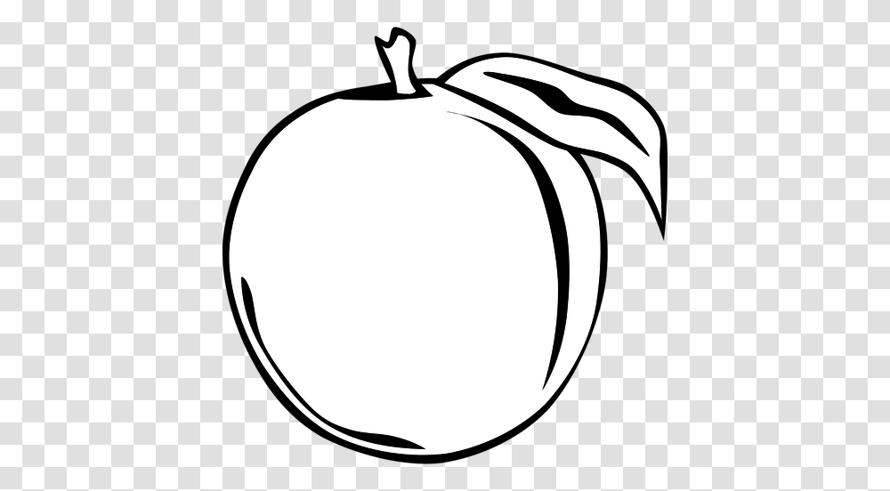 Peach Fruit Vector Clip Art, Plant, Food, Apple, Balloon Transparent Png