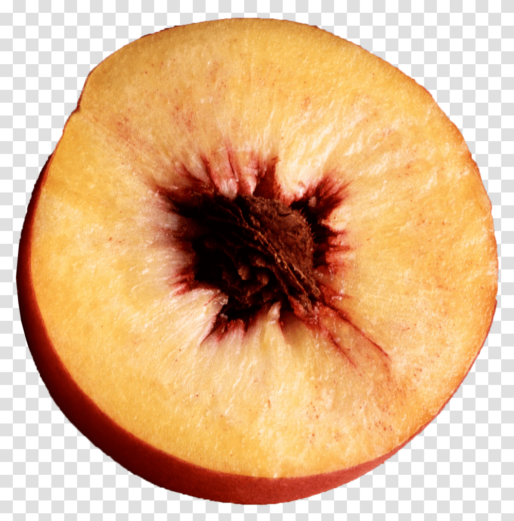 Peach Halved, Plant, Fruit, Food, Bread Transparent Png