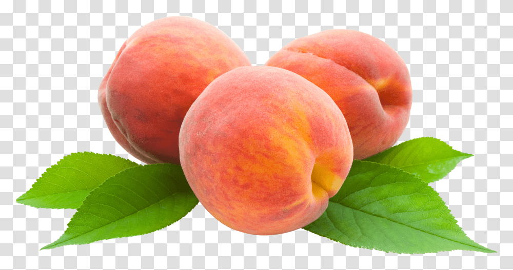 Peach Icon Cartoon Picture Of Peaches Transparent Png