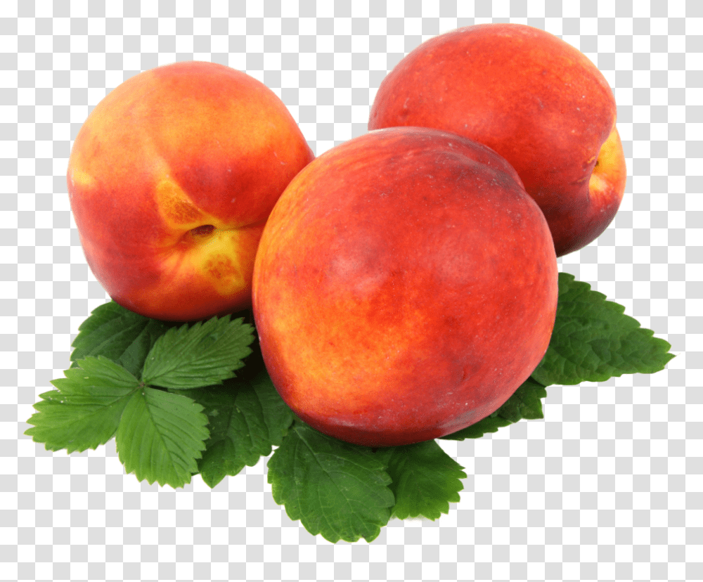 Peach Image 10 Duraznos, Apple, Fruit, Plant, Food Transparent Png