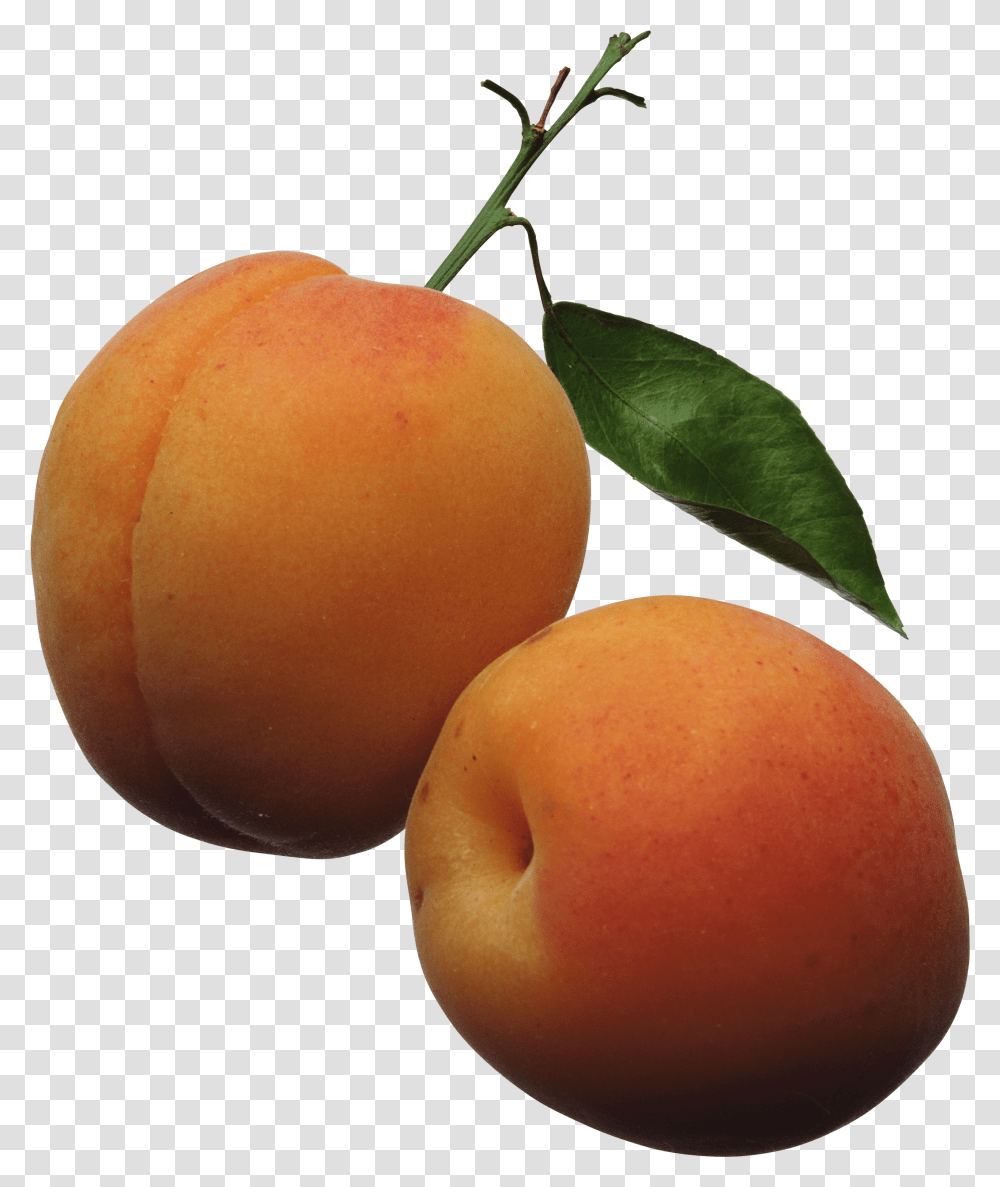 Peach Image Apricots Clipart Transparent Png