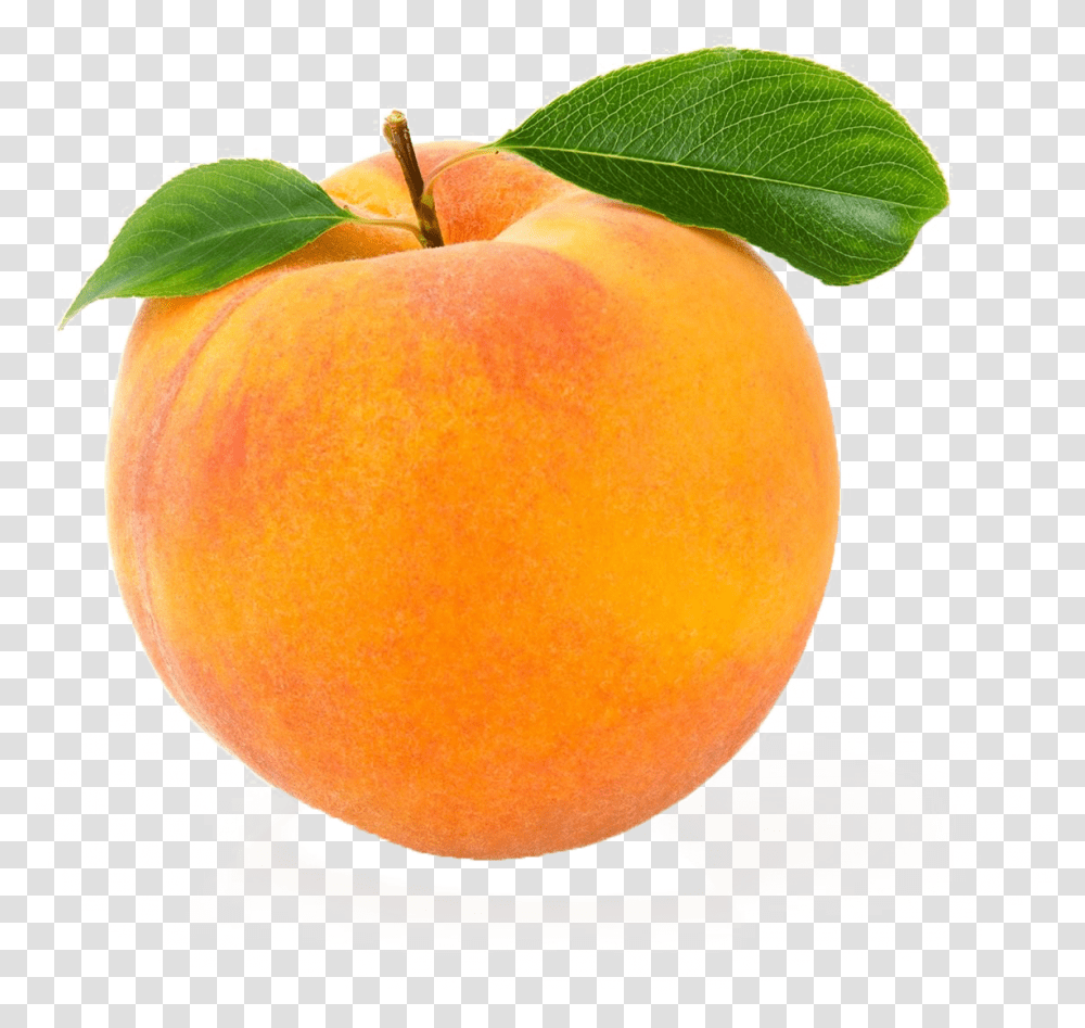Peach Image Download Individual White Background Fruits And Vegetables, Plant, Orange, Citrus Fruit, Food Transparent Png