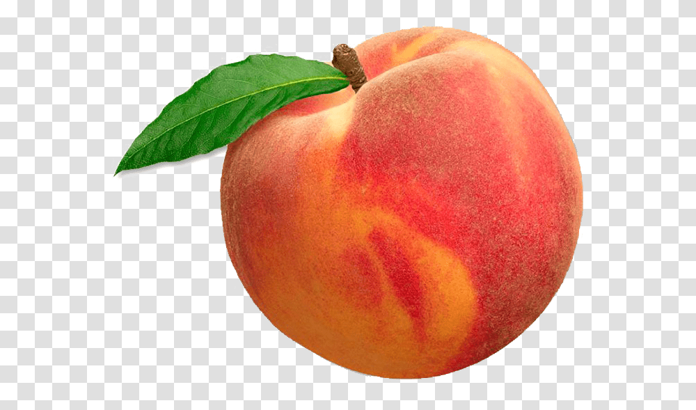 Peach Image File Peach, Plant, Fruit, Food, Apple Transparent Png