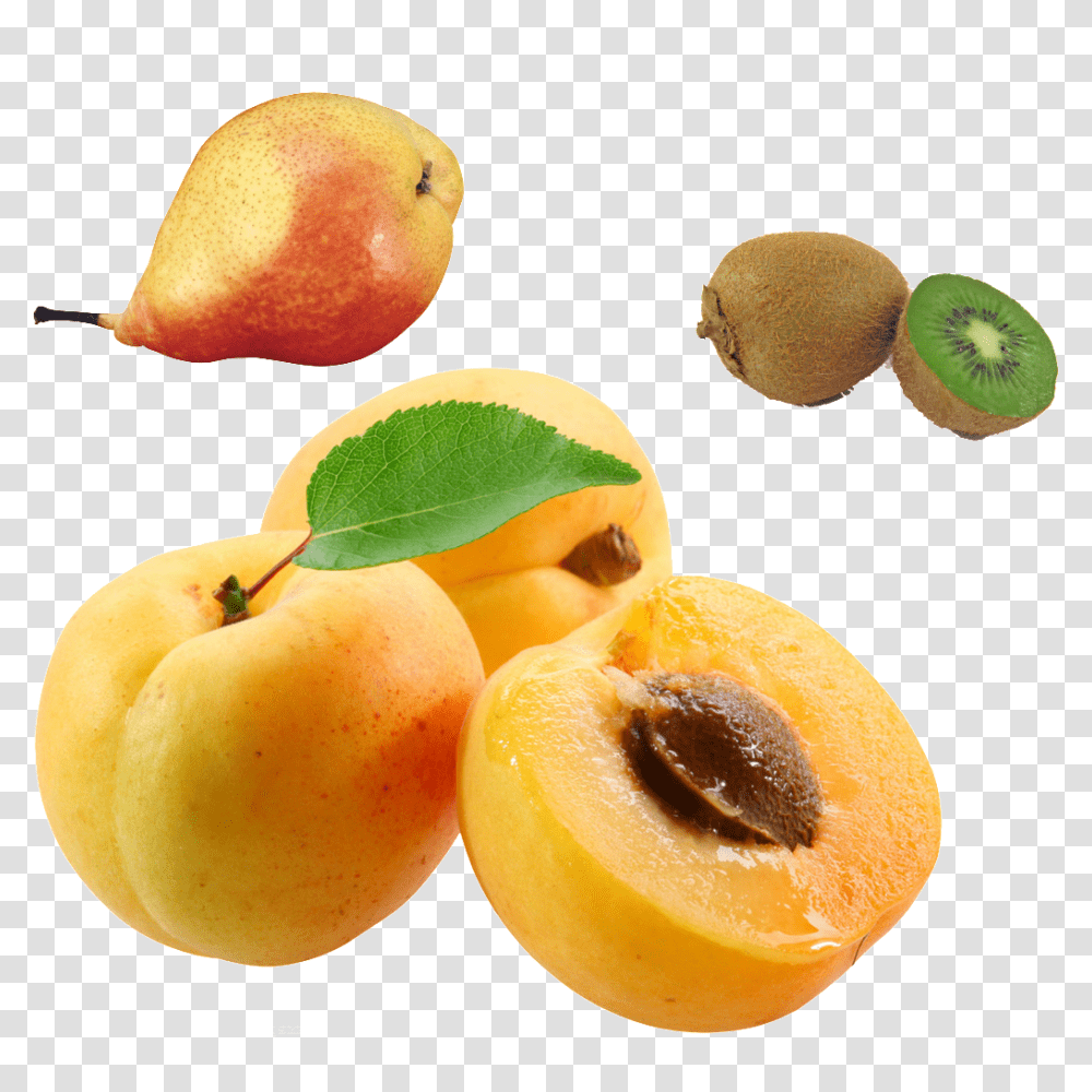 Peach Kiwi Pear Hd Free Download Vector, Plant, Orange, Citrus Fruit, Food Transparent Png