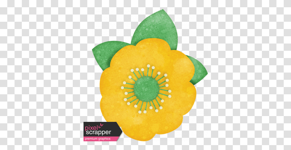 Peach Lemonade Yellow Flower 2 Graphic Dot, Plant, Anther, Daisy, Anemone Transparent Png