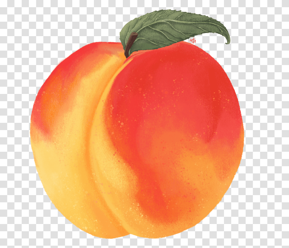 Peach Nectarine, Plant, Fruit, Food, Produce Transparent Png