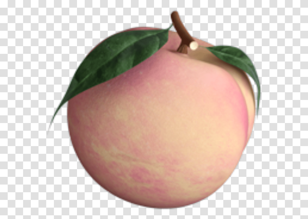 Peach Overlay Peachy Peachie Green Leaf Peach Overlay, Plant, Fruit, Food, Person Transparent Png