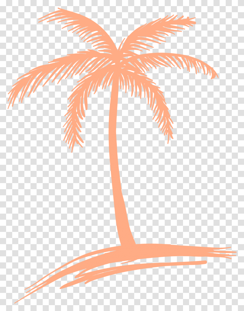 Peach Palm Tree Logo Simple Palm Tree Drawing, Leaf, Plant, Bird, Animal Transparent Png