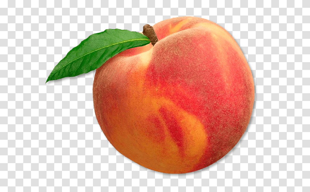 Peach Peach Fruit, Apple, Plant, Food, Produce Transparent Png