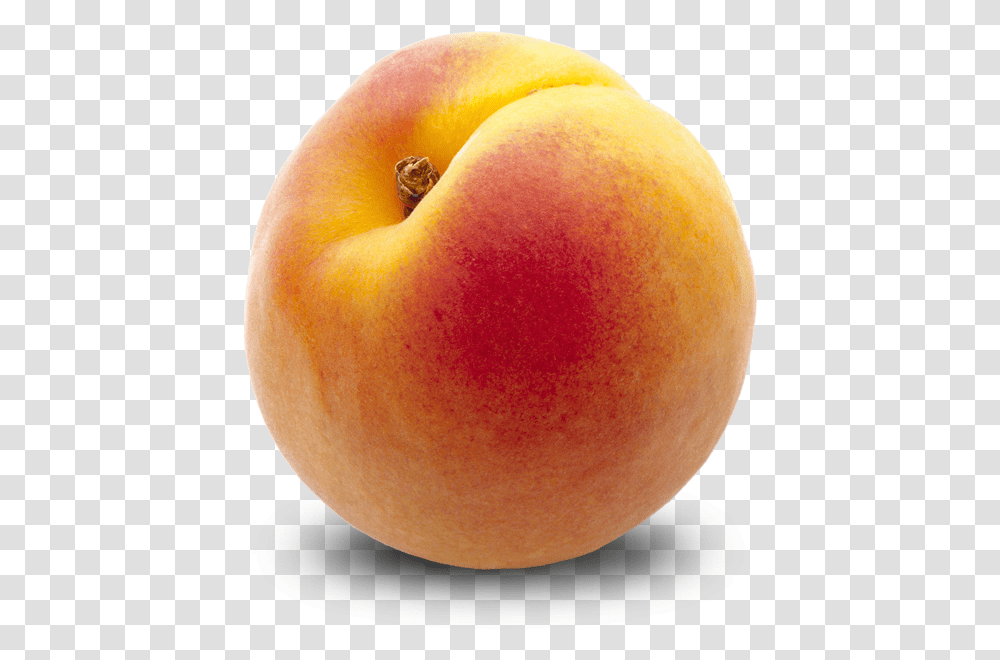 Peach Peaches, Apple, Fruit, Plant, Food Transparent Png