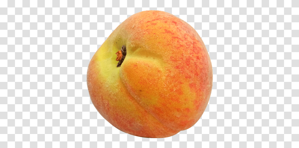 Peach Peaches Fruit Juicy Ripe Sweet Fresh Food Nectarines, Plant, Moon, Outer Space, Night Transparent Png
