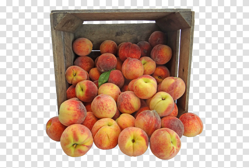 Peach Peaches Pennsylvania Amish Crate Fruit Caixote Com Frutas, Plant, Food, Produce Transparent Png