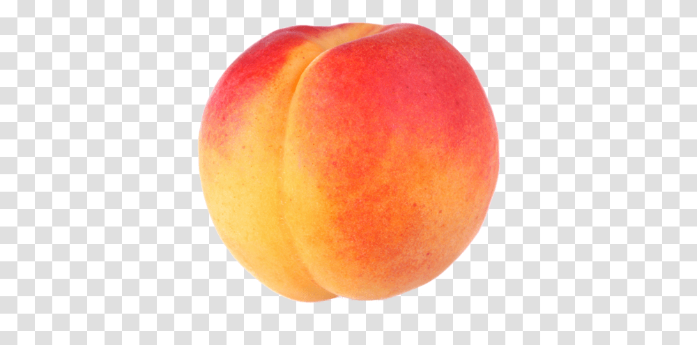 Peach, Plant, Apple, Fruit, Food Transparent Png