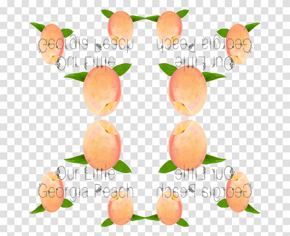Peach, Plant, Fruit, Food, Apricot Transparent Png