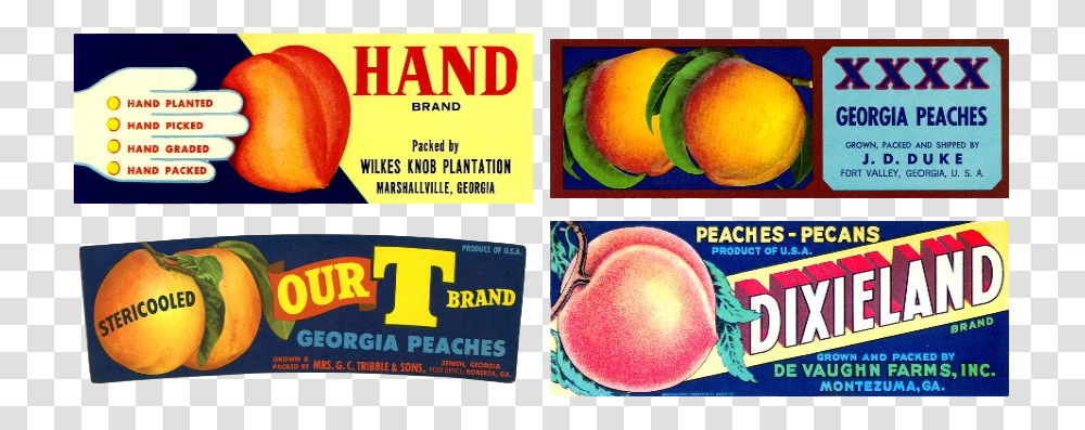 Peach, Plant, Fruit, Food, Watermelon Transparent Png