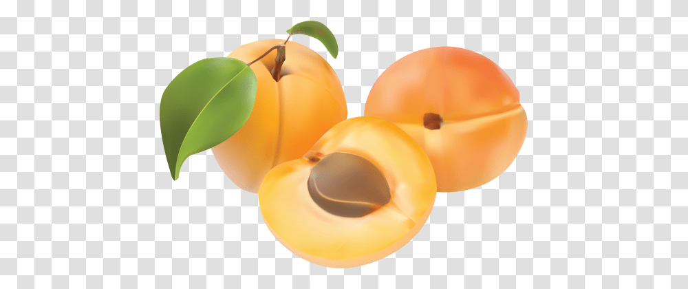 Peach, Plant, Produce, Food, Fruit Transparent Png