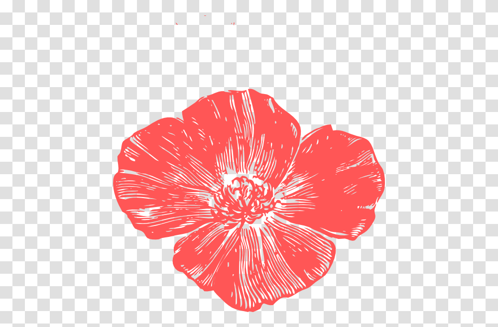 Peach Poppies Clip Art Flower Clipart Poppy, Plant, Hibiscus, Blossom, Fungus Transparent Png