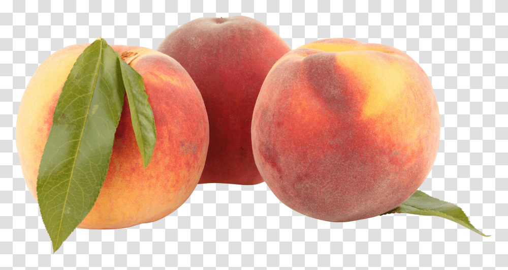 Peach Portable Network Graphics, Apple, Fruit, Plant, Food Transparent Png
