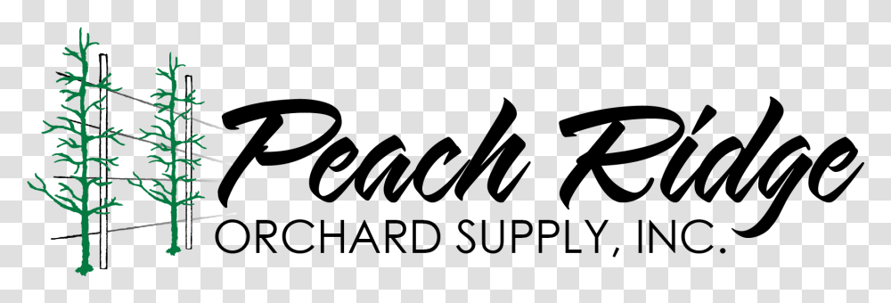 Peach Ridge Calligraphy, Gray, World Of Warcraft Transparent Png