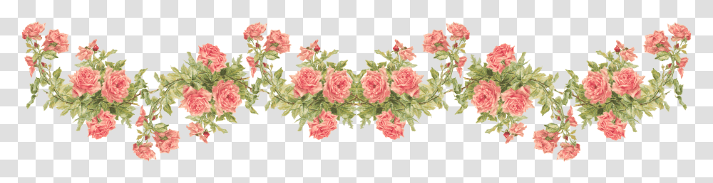 Peach Roses, Floral Design, Pattern Transparent Png