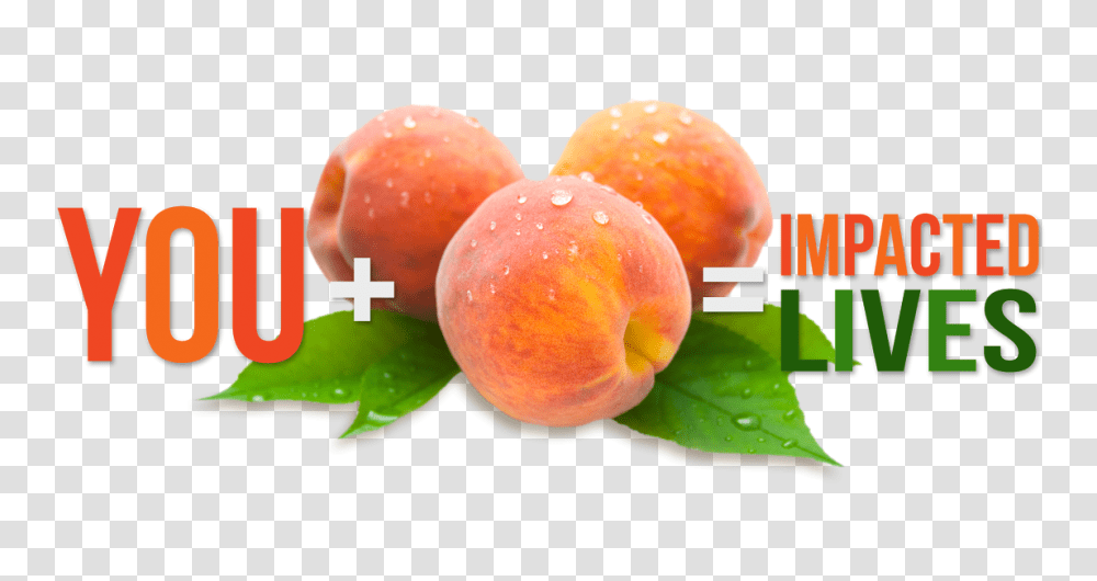 Peach Sale Badgerland Youth For Christ, Plant, Fruit, Food, Produce Transparent Png