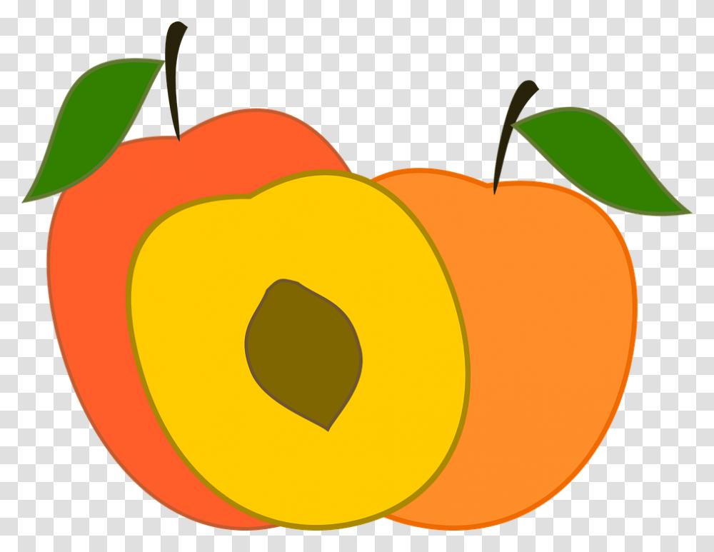 Peach Vector, Plant, Produce, Food, Fruit Transparent Png