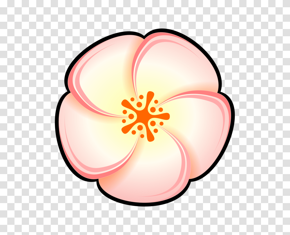 Peach Watercolor Painting Flower Pastel, Plant, Lamp, Blossom, Petal Transparent Png