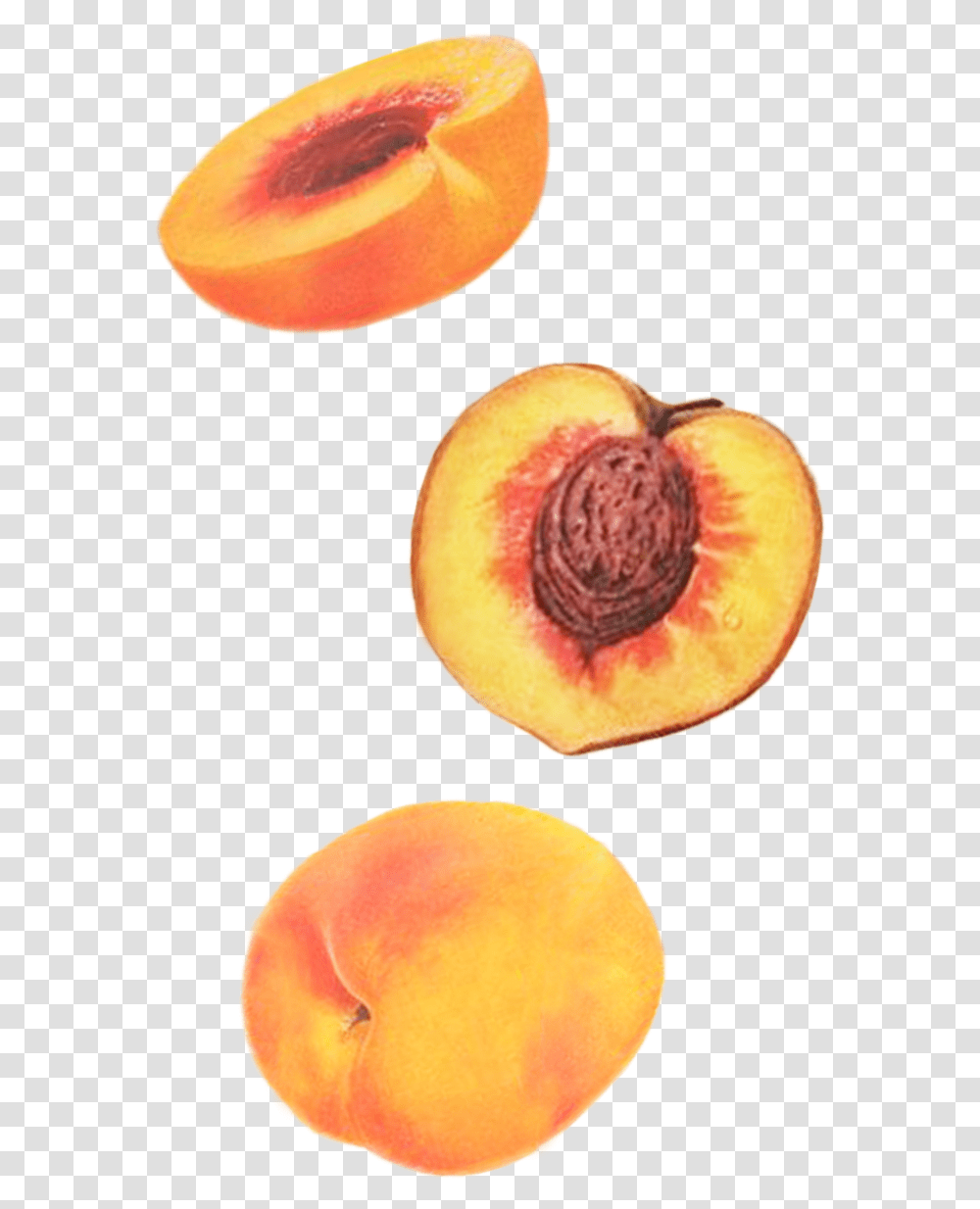 Peaches Apricot, Plant, Fruit, Food, Produce Transparent Png