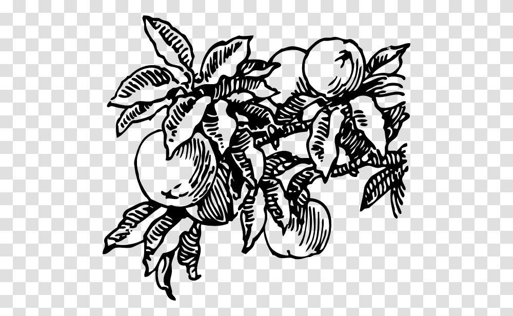 Peaches Clipart For Web, Pattern, Stencil, Floral Design Transparent Png