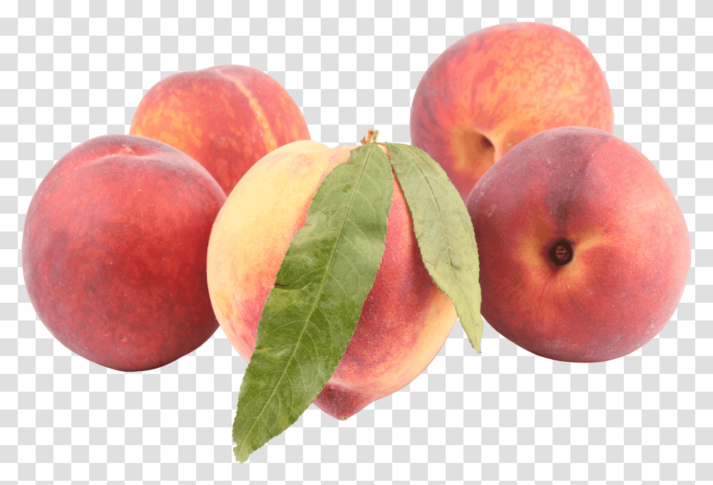 Peaches Peach, Plant, Fruit, Food Transparent Png
