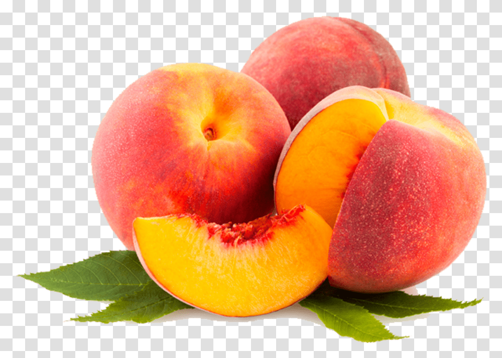 Peaches Peach, Plant, Orange, Citrus Fruit, Food Transparent Png