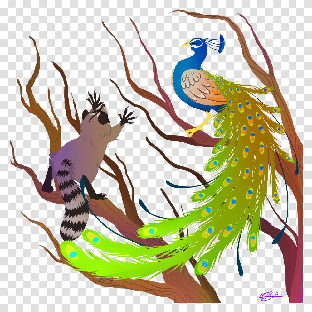 Peacock And Raccoon Raccoon Peacock, Bird, Animal, Painting Transparent Png