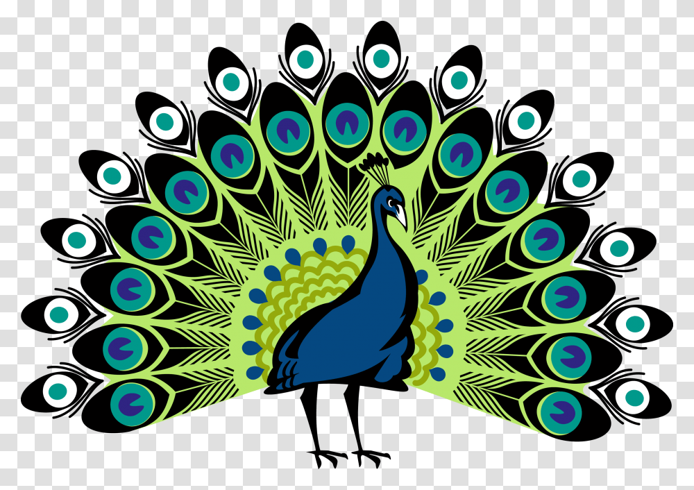 Peacock, Animals, Bird Transparent Png